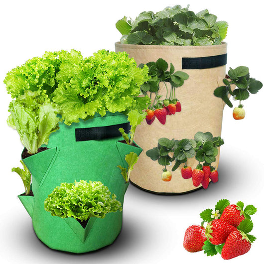 Bolsa de Cultivo en Fieltro Premium - Image 5
