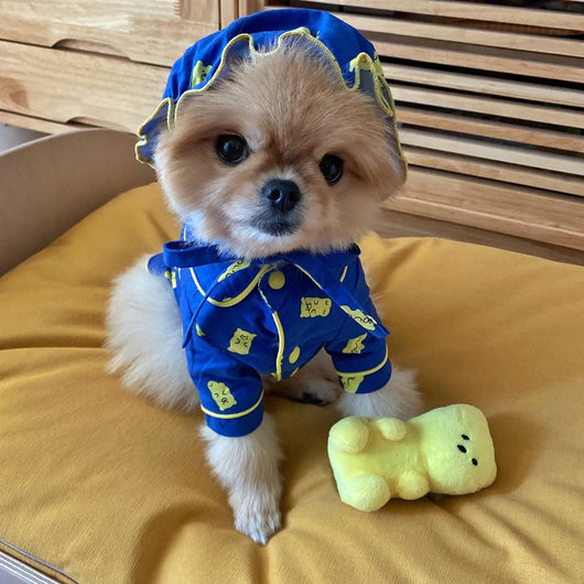 Pijama para Perro Osito Kawaii de Algodón Puro - Ropa Cómoda para Mascotas - Image 8