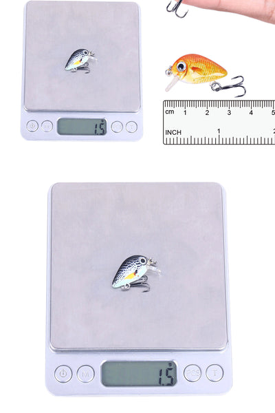 Set de 5 Señuelos de Pesca Mini Rock 1.5g - Colores Variados - Image 7