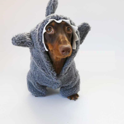 Abrigo Térmico para Mascotas con Forro de Polar - Diseño Tiburón - Image 10