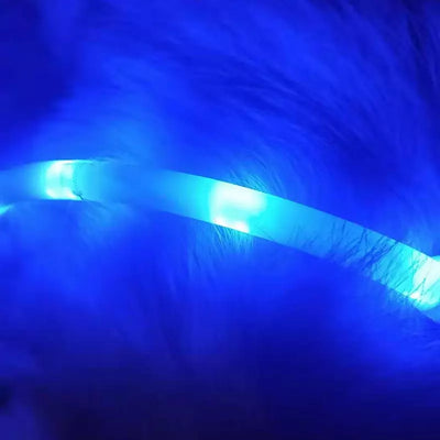 Collar Luminoso Antiextravío para Perros - Collar Inteligente LED - Image 5