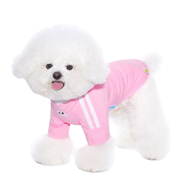 Ropa Delgada para Perros Pequeños y Gatos - Schnauzer