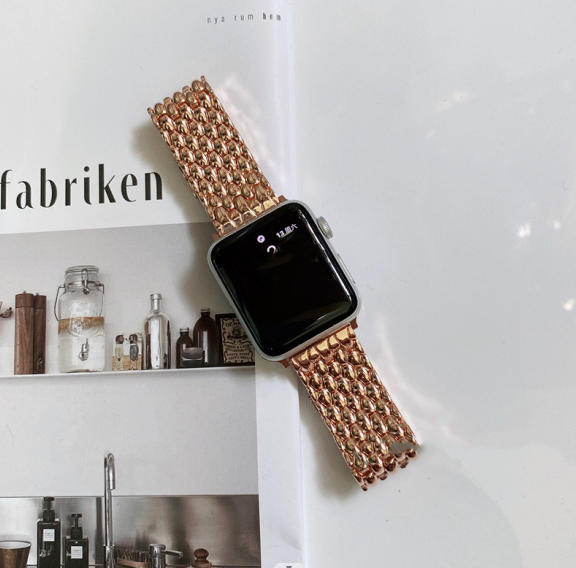 Correa de Reloj en Acero Inoxidable Premium