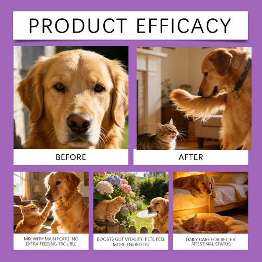 Polvo Probiótico para la Salud Digestiva de Mascotas - Image 11