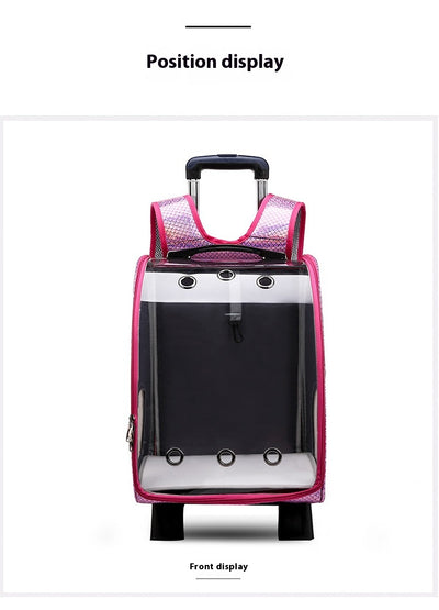 Mochila Transportadora Transparente Plegable para Perros Pequeños con Bolsillo Pañales - Image 24
