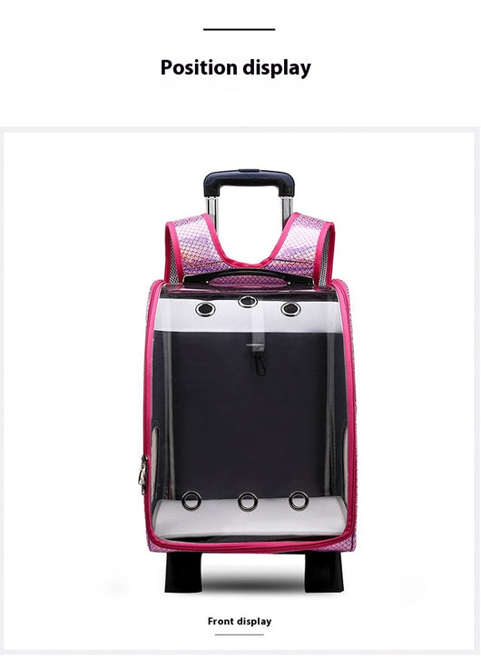 Mochila Transportadora Transparente Plegable para Perros Pequeños con Bolsillo Pañales - Image 24
