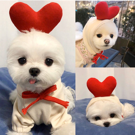 Suéter con Capucha Alce Damasco para Mascotas - Image 10