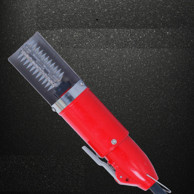 Descamador Eléctrico Inalámbrico Automático para Pescado - Image 6