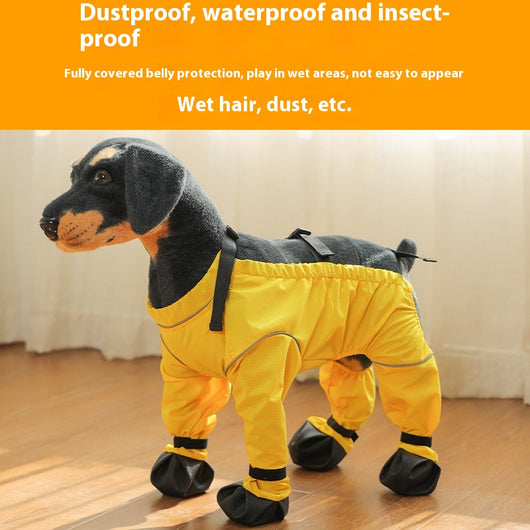 Protectores de Patas Impermeables para Perros - Image 3