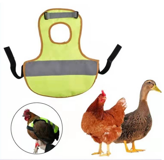 Chaleco Reflectante de Seguridad para Pollos y Gallinas - Image 26