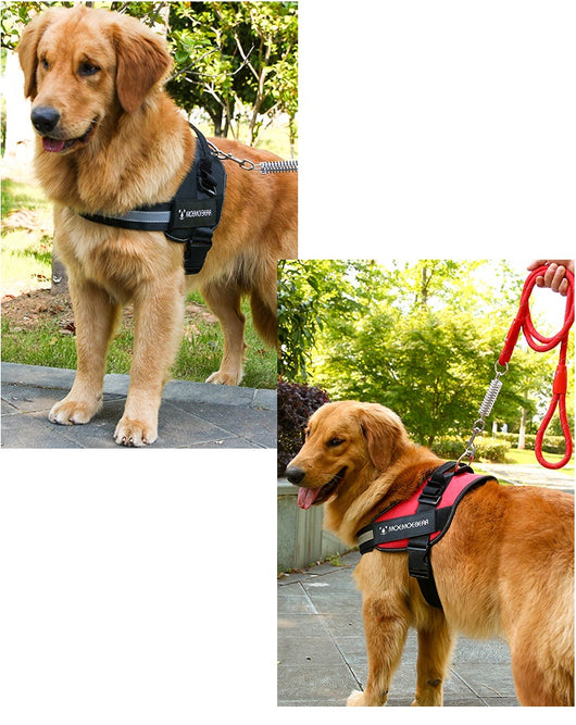 Arnés Pectoral para Perros de Tela Oxford - Image 17