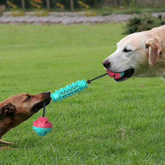 Juguete Masticable Dental para Perros - Limpieza de Dientes y Diversión