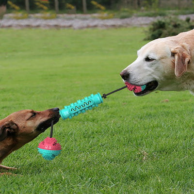 Juguete Masticable Dental para Perros - Limpieza de Dientes y Diversión