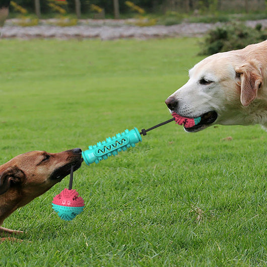 Juguete Masticable Dental para Perros - Limpieza de Dientes y Diversión