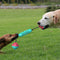 Juguete Masticable Dental para Perros - Limpieza de Dientes y Diversión