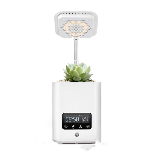 Semillero Inteligente Automático para Plantas de Interior - Image 2