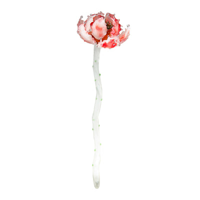 Maceta de Cristal para Suculentas - Diseño Artesanal Elegante - Image 5