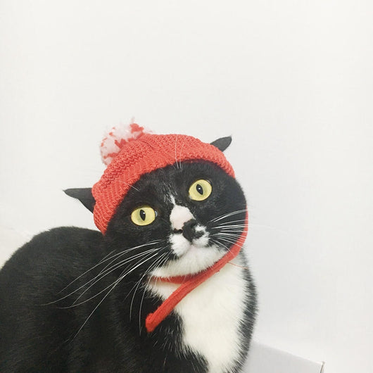 Gorro Navideño Rojo - Colección Festiva Año Nuevo - Image 7