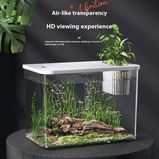 Acuario Ecológico Compacto para Peces Betta - Decoración Minimalista