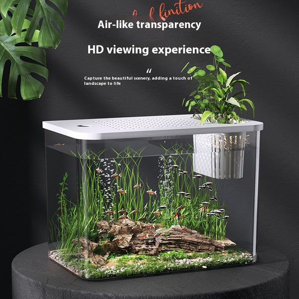 Acuario Ecológico Compacto para Peces Betta - Decoración Minimalista