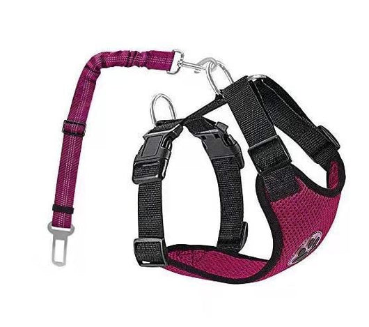 Cuerda Reflectante y Transpirable para Perros