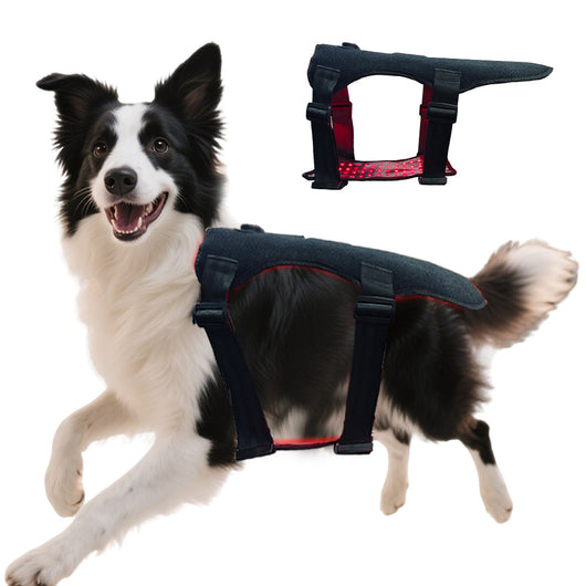 Manta Térmica de Luz Roja Infrarroja para Perros - Image 2