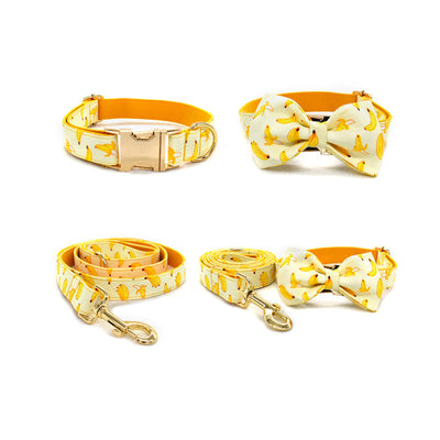 Collar de Tiro con Hebilla de Metal Dorado para Mascotas - Image 7