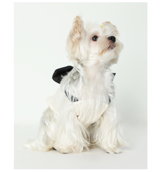 Blusa Tanque Beige con Moño de Seda Negra para Mascotas - Image 19