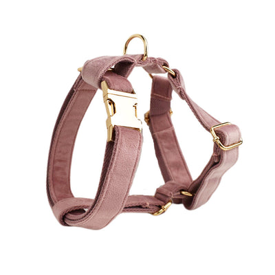 Collar de Terciopelo para Perros - Comodidad y Estilo - Image 26