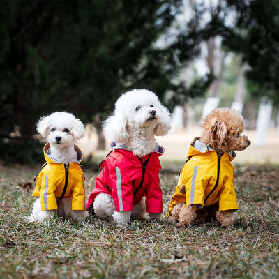 Impermeable para Perros Resistente Todas las Estaciones