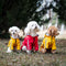 Impermeable para Perros Resistente Todas las Estaciones