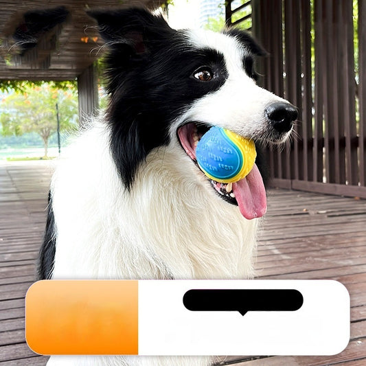 Orange and blue two-tone pet toy ball with textured surfaces for dog molar cleaning and training. - Image 2