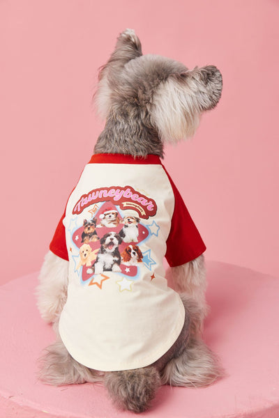 Ropa de Verano para Perros con Contraste de Colores - Image 27