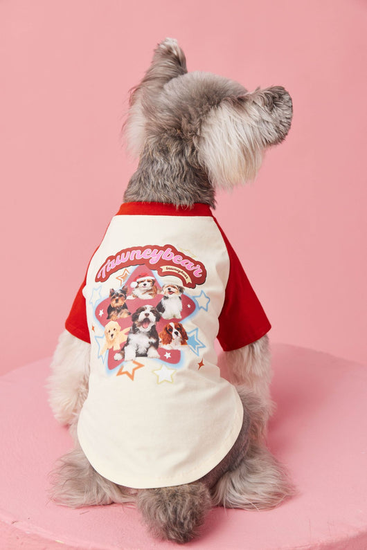 Ropa de Verano para Perros con Contraste de Colores - Image 27