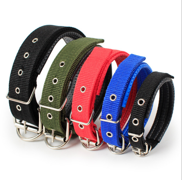 Collar para Mascotas con Forro de Cuero Suave y Espuma Protectora