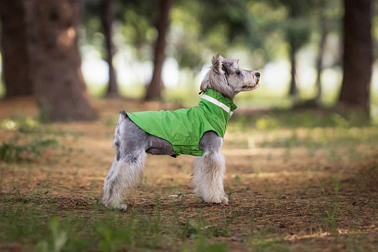 Poncho Impermeable Reflectante para Perros - Protección Total en Lluvia y Viento - Image 25