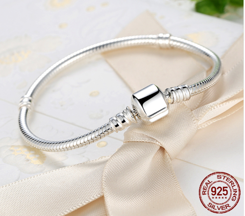 Pulsera de Plata 925 con Dijes Intercambiables - Joya Auténtica para Mujeres - Image 3