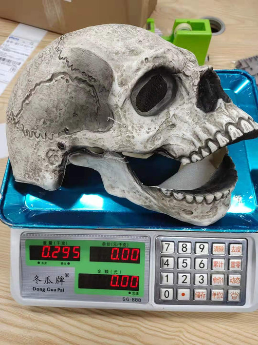 Máscara Cráneo Móvil 3D con Mandíbula Articulada - Disfraz Horror Profesional - Image 5