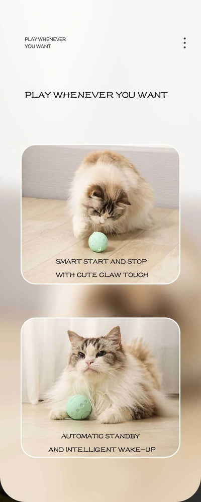 Light green spherical interactive cat toy with cut-out patterns and a central circular feature, measuring 1.89 inches. - Image 9