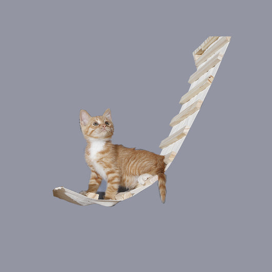 Plataforma Rascadora de Madera Maciza para Gatos con Tablero de Sisal - Image 9