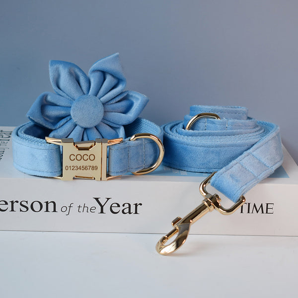 Collar para Perro de Terciopelo Azul con Cuerda
