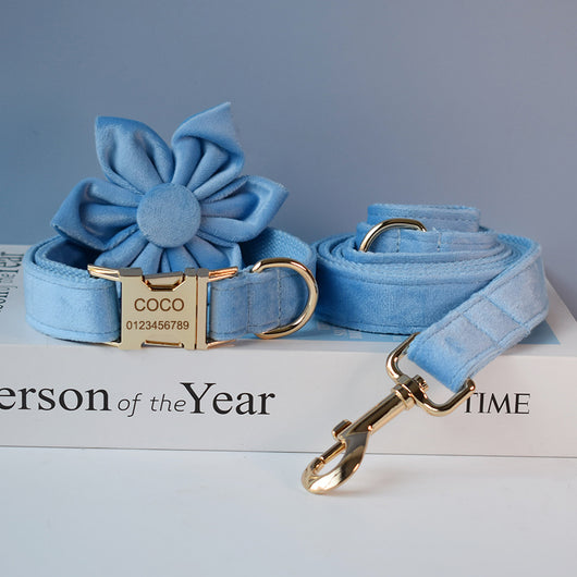 Collar para Perro de Terciopelo Azul con Cuerda
