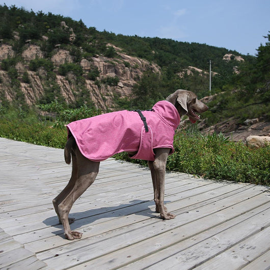 Abrigo Impermeable para Perros - Traje de Esquí Invernal - Image 10