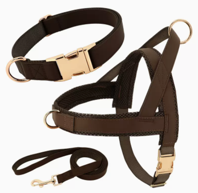 Arnés y Correa Personalizados para Perro - Image 11