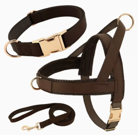 Arnés y Correa Personalizados para Perro - Image 11