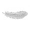 Pluma