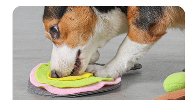 Juguete Interactivo Raqueta Ping-pong para Perros y Gatos - Image 16