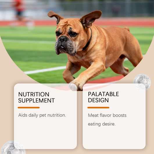 Suplemento de Cúrcuma para Perros en Granulos Blandos - Image 5
