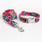 Collar y Correa para Mascotas con Diseño Graffiti