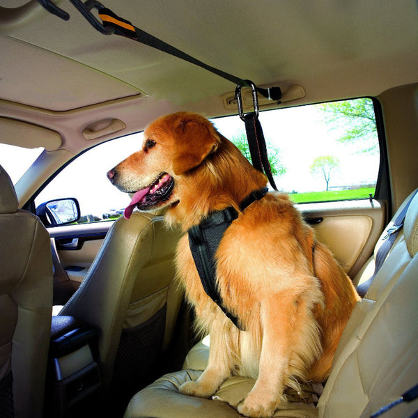 Arnés de Seguridad Dual para Mascotas en Auto